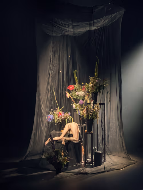 Item #29225512278462627521798648337765154625875213490195303772458487977950899601409 Media