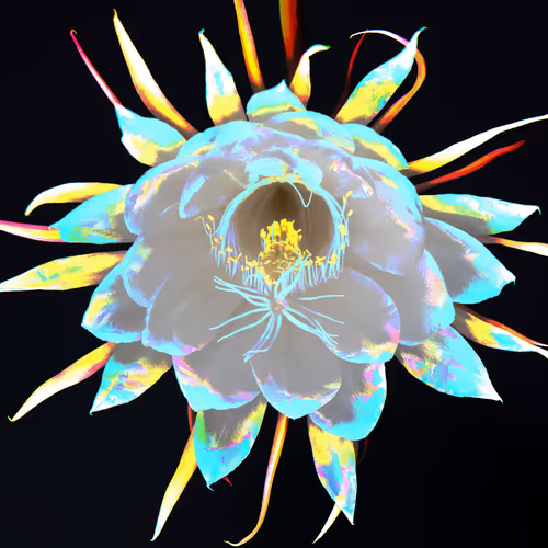 Item #11128123256113201505825332092376579448973501376012613523417643017288344928257 Media