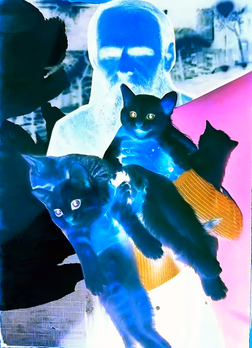 Item #4747115153065902387790593868107453782499677024781155622119190354539776573441 Media