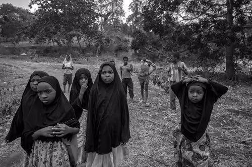 Item #81057615018985245267668409952199543064735075507553677475786031437774659256321 Media