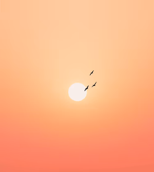 Item #58809729658004785625766705762406371743224030707088339904419797666017111441409 Media