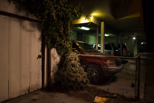 Item #97596376492587480991564299989885194485729582935183473269224319401455794520065 Media