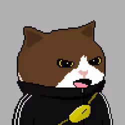 104919872742152227807235166418500170476562355609761586582247802065767607828481