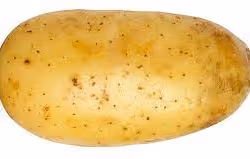 potato