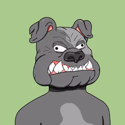 Rabid Dog #567