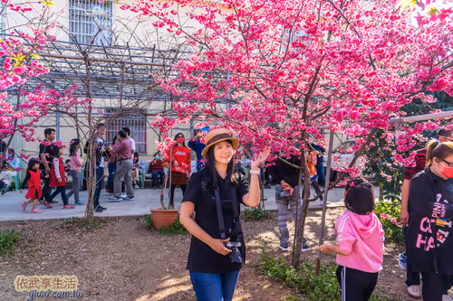 Item #100744422725674417057824683306763013505668843176654858816283483927434466689025 Media