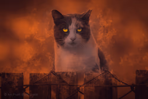 Item #48309581868296533545181627085115784887181070596004142411551864978076812181505 Media