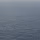 Untitled Collection #141466295