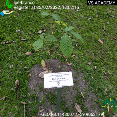 Item #8500196597889277390194123329501889087166328879864934763448348742352453500929 Media