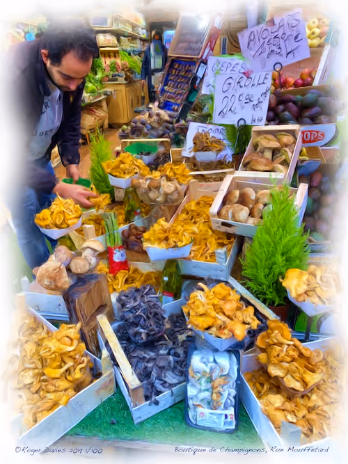 Item #25766228410116791685339336380012731519026805930459738932816938688464356900964 Media