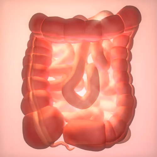 Item #84900891261984858925524408247790479220816350515303808773126231198797737754625 Media