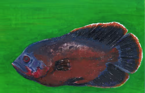 Item #112200238301801532667266701673441767449709055984670002102941868619874890153985 Media