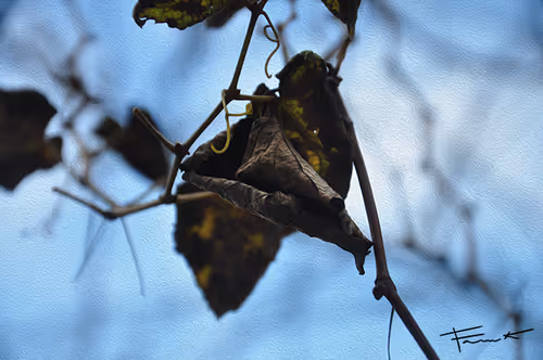 Item #100748379412919059267110879785057129888508222288536348751201759399665339465729 Media