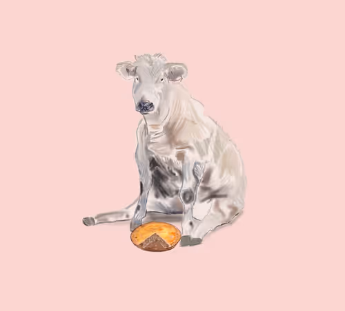 Item #82893171951154678465580124533759799551248347428424899303334733966735612837889 Media