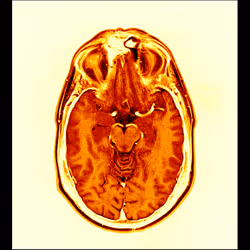 64162533542198579898252916190583583845604629893829087458582976308742459490305