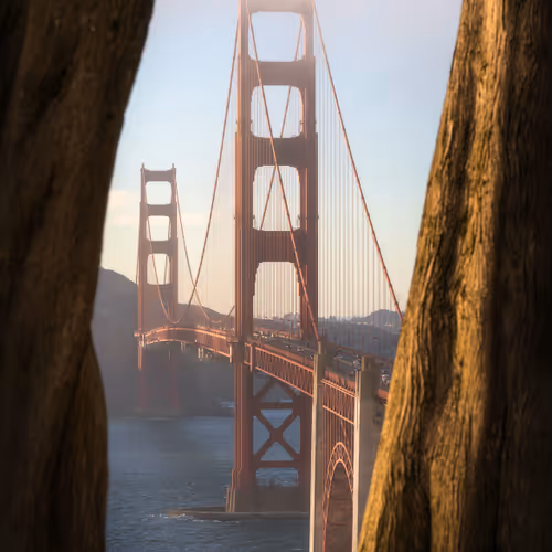 Vivid Frame #2 - Golden Moment