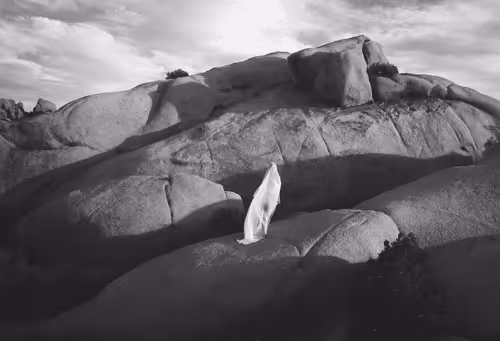 Editions - Alister Mori