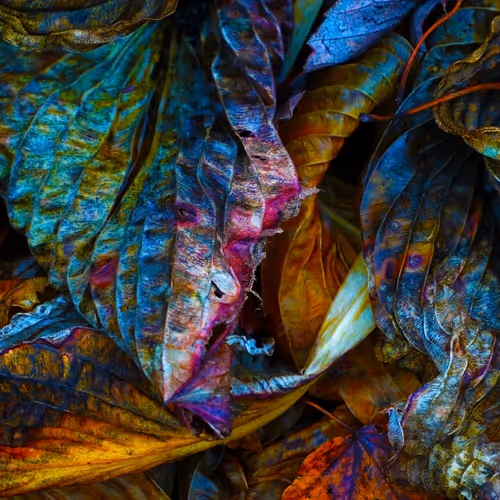 57454491023137916107007493201948815472587961712729591816545853687283446710273