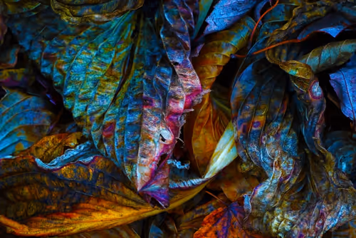 Item #57454491023137916107007493201948815472587961712729591816545853687283446710273 Media