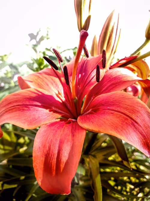 Item #93053345954396449184125693441989771853950921288224263024317593495689748283393 Media