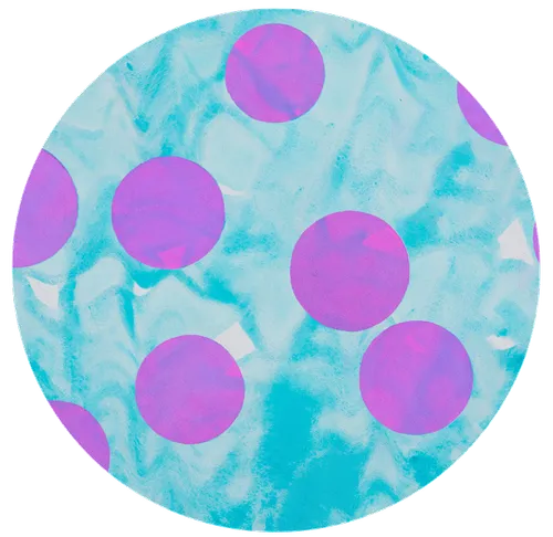 Item #73426756528555597329506357807672761310391868450501178698656905010879483871233 Media