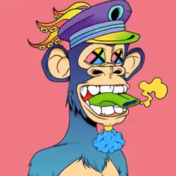 Rainbow ape forever