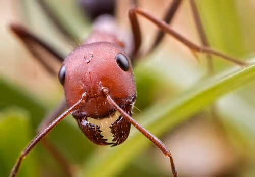 Item #11893448461842202167923125391346137616384292588036434545660885336344447942657 Media