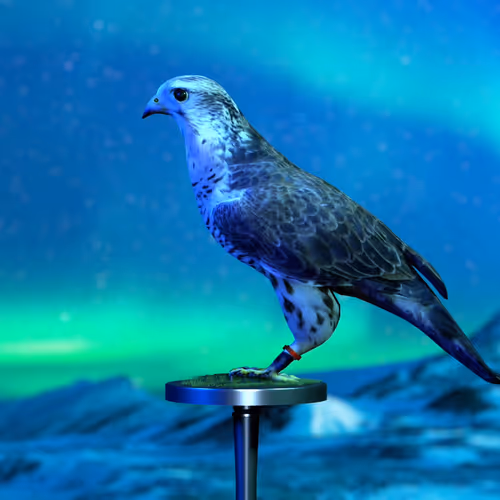 5362693153686757663037229957776630052012240176014263673100968348700689563649