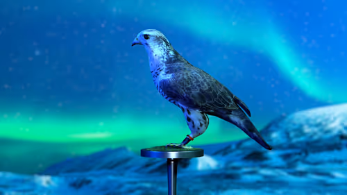 Item #5362693153686757663037229957776630052012240176014263673100968348700689563649 Media