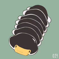 [ No.019 ] Cutie Isopod - Pak Chong 