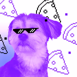 Crypto Dog