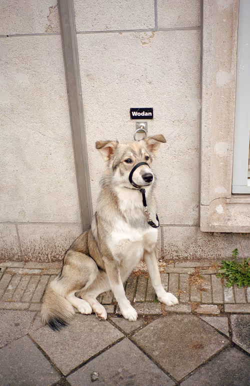 Item #64073144841343757614716512507723910140908511863865217898604629602816478937089 Media