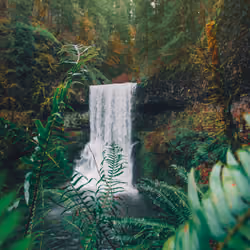 #006 Silver Falls