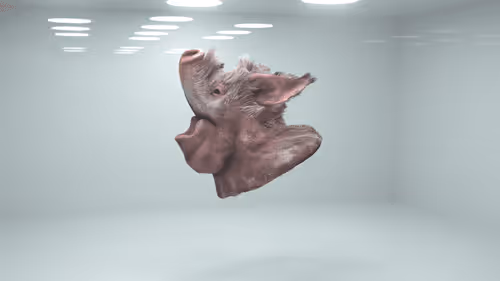 Resilient Picture - Procedural Art