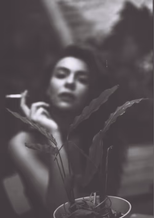 Item #50867123626424774834261631235437206087051938967624587772037365659995176173569 Media