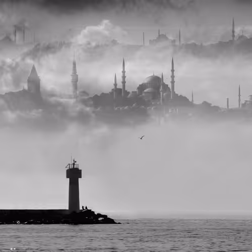 Huseyinaldirmaz Collection