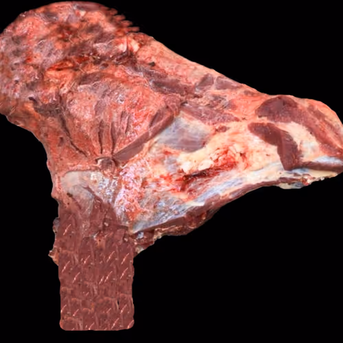 18063966590187803564983313972252836895288362682890717819958697105418906238977