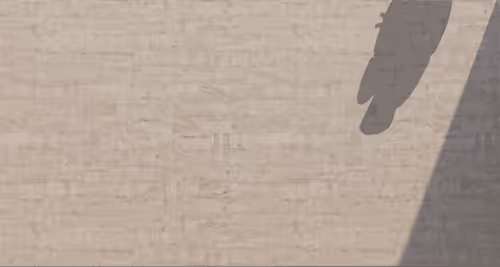 Schmrypto Collection