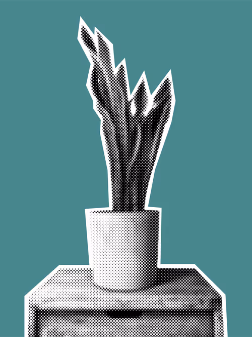 Item #25379124807980713745219244606437574046087384809022650852355167098326772350977 Media