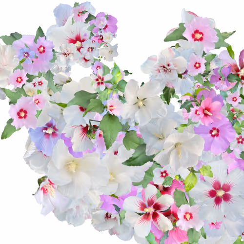 Item #57079712582191126887516961639482112914535436253999342571416194864920014094337 Media