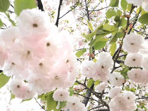 Untitled Collection #497755347