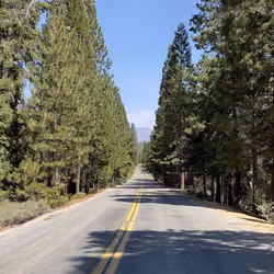 Lonely Road Sequoia National Park