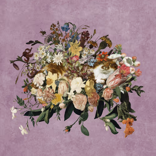 Item #19059656102330521028979974538211481296482323844077477318954795424747320508429 Media