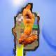 92040493643095965616266386412792240603940915746529256896640877996565321482241