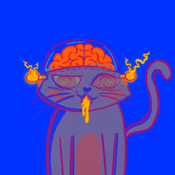 NOC #001