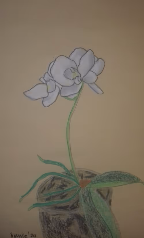 Item #99125017457638883826248316296505876439245924875987117084464433419193329647617 Media