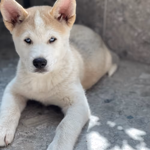 Riddlemaster1307 Collection