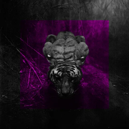 Item #51427486011039718100506623562362624271067022205358126424560206881935404826625 Media