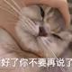 rrr30