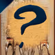 Card 31 Presale